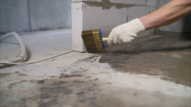 24/7 Emergency Wet Basement Repair experts in Frankenmuth, MI